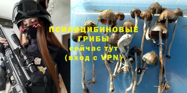 хмурый Балахна