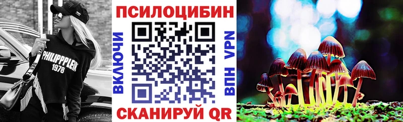 Псилоцибиновые грибы MAGIC MUSHROOMS купить закладку гидра tor Буинск