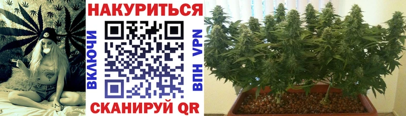 Шишки марихуана план  закладки  Буинск 